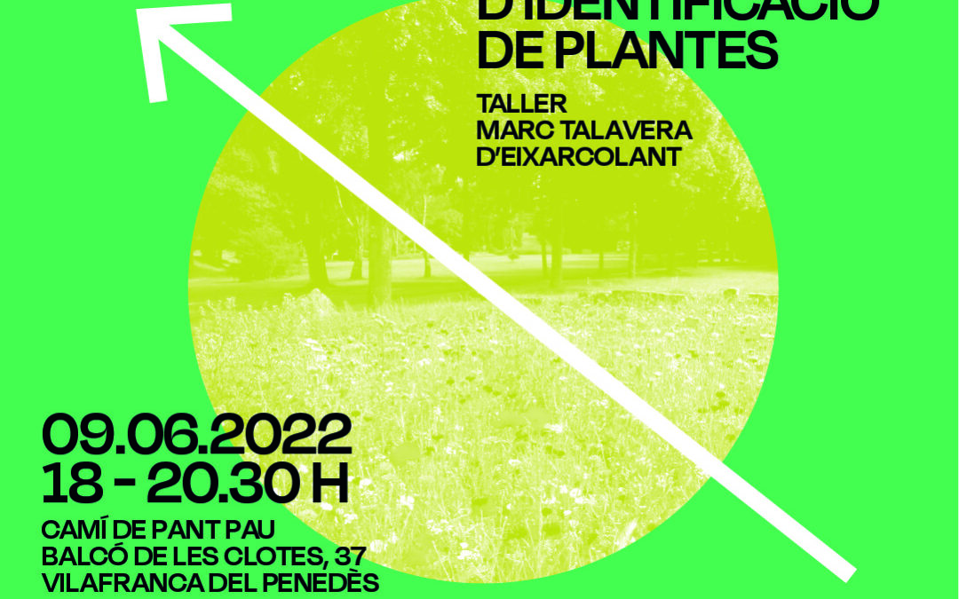 Sortida d’identificació de plantes a càrrec de Marc Talavera d’Eixarcolant en el marc de la 4a Quinzena de l’Economia Social i Solidària.